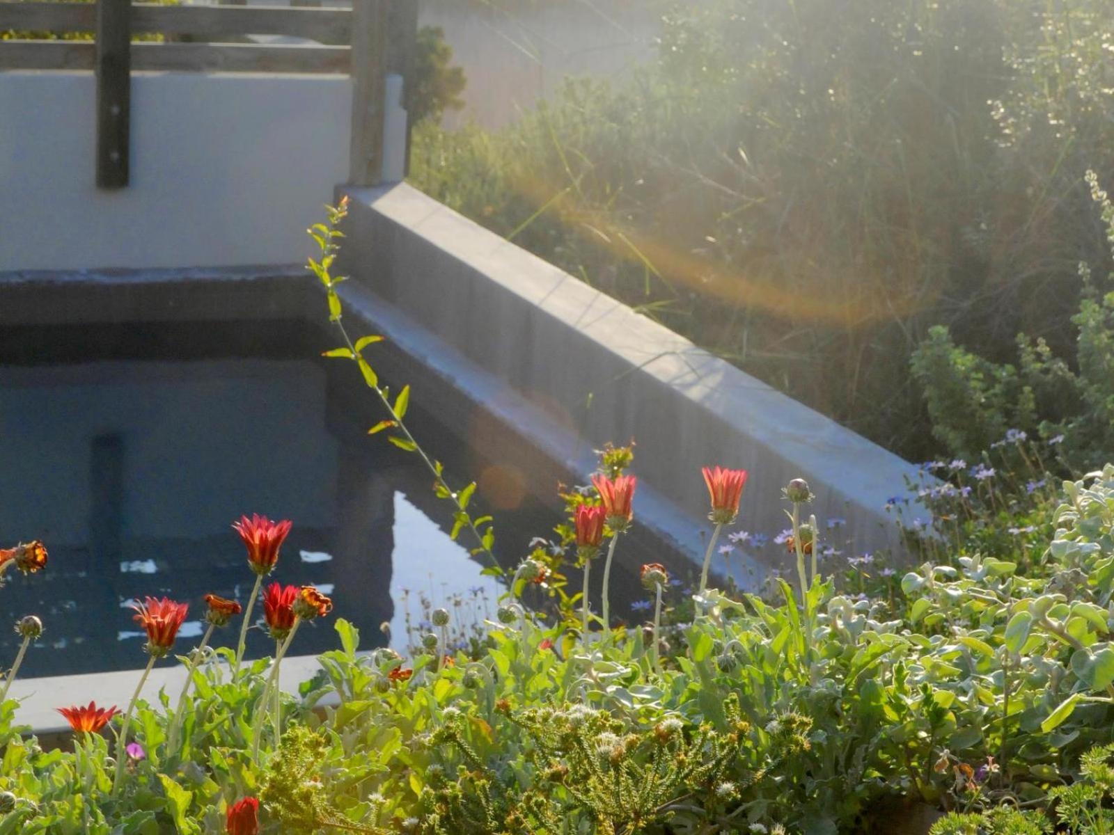 Christiana Lodge Plettenberg Bay Oda fotoğraf